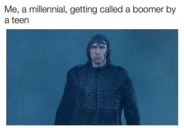 Memes Millennials getting called boomers by generation Z