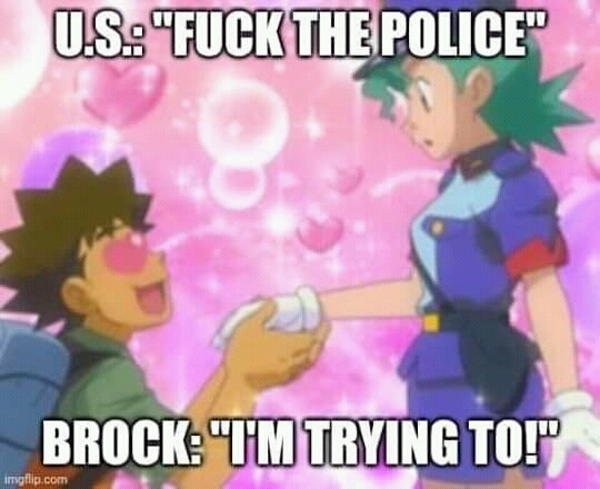 Brock meme Pokemon Officer Jenny love