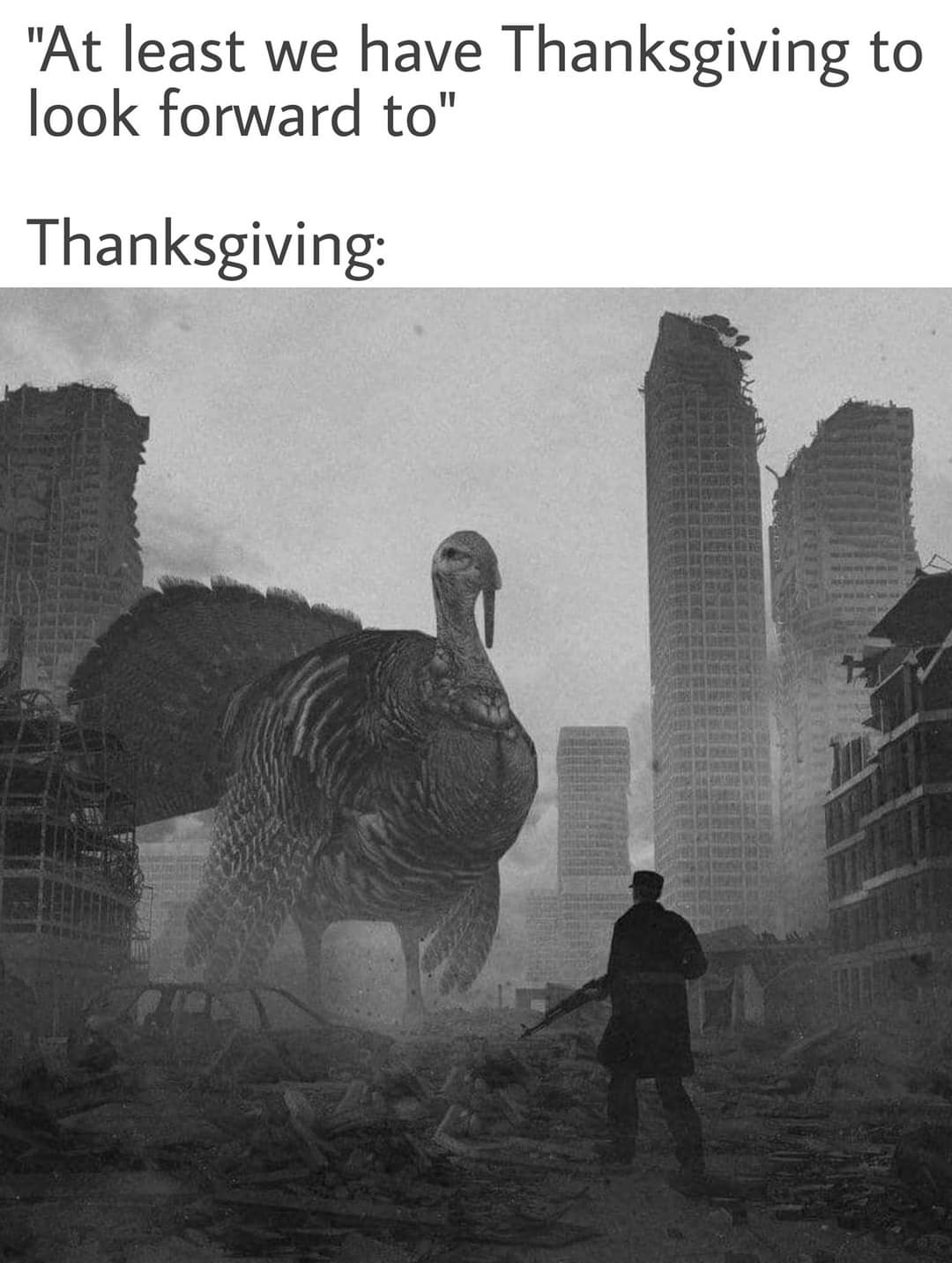Thanksgiving turkey Memes
