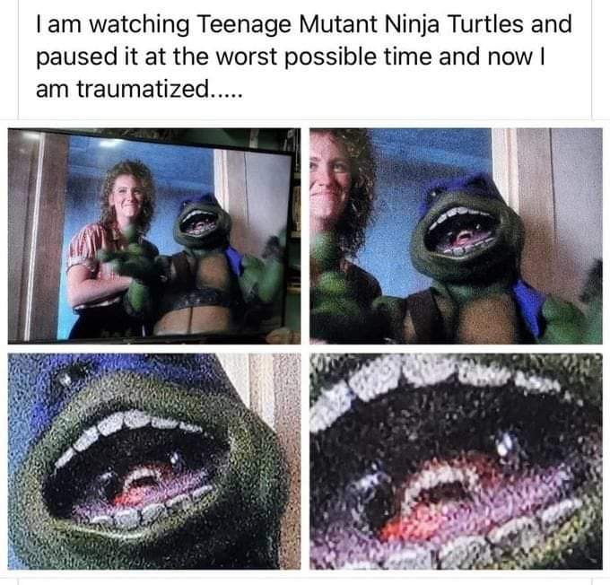 Memes original teenage mutant ninja Turtles movie
