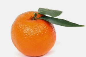 Fun facts about oranges 