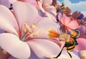 Pollen collecting Bee Movie 2007 film