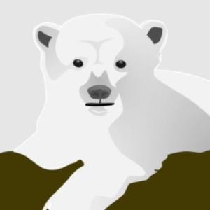 Fun facts about polar bears 